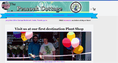 Desktop Screenshot of dandypot.com